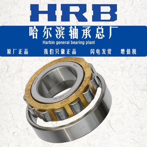 哈尔滨轴承NRUJP31031131