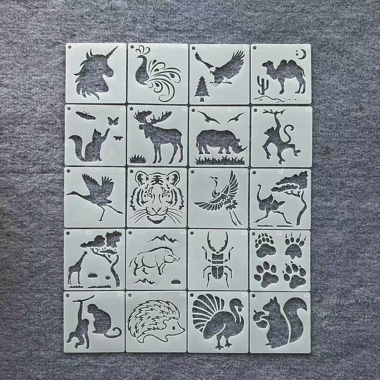 花边尺小报绘画动植物花朵套装