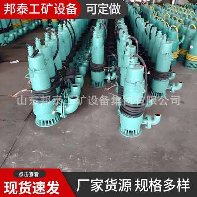 BQS矿用隔爆型潜水排沙电泵  660/1140v井下抽水机 BQW防爆排污泵