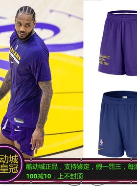NIKE耐克詹姆斯戴维斯安东尼库里湖人勇士训练短裤 FV1993/DX9700