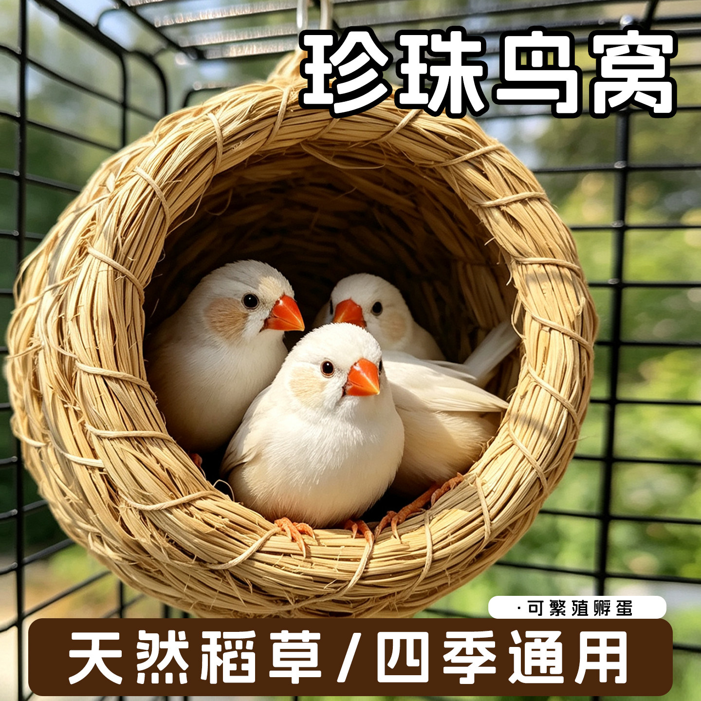 珍珠鸟窝文鸟巢鹦鹉专用睡觉草窝四季通用新款繁殖箱椰子壳用品