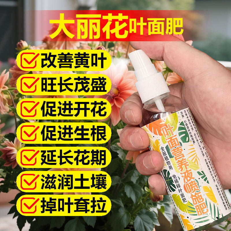大丽花专用肥料地瓜花营养液叶黄开花小苗旺长花苞发新芽叶面肥料