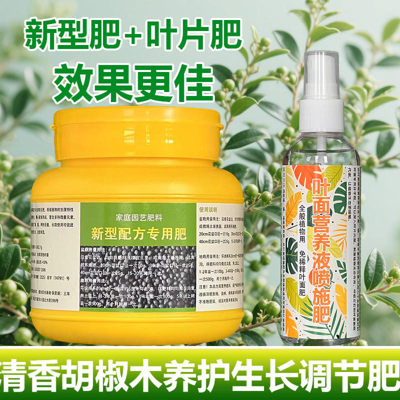 清香胡椒木树苗老桩专用肥料室内盆景盆栽长新芽营养液叶面肥肥料