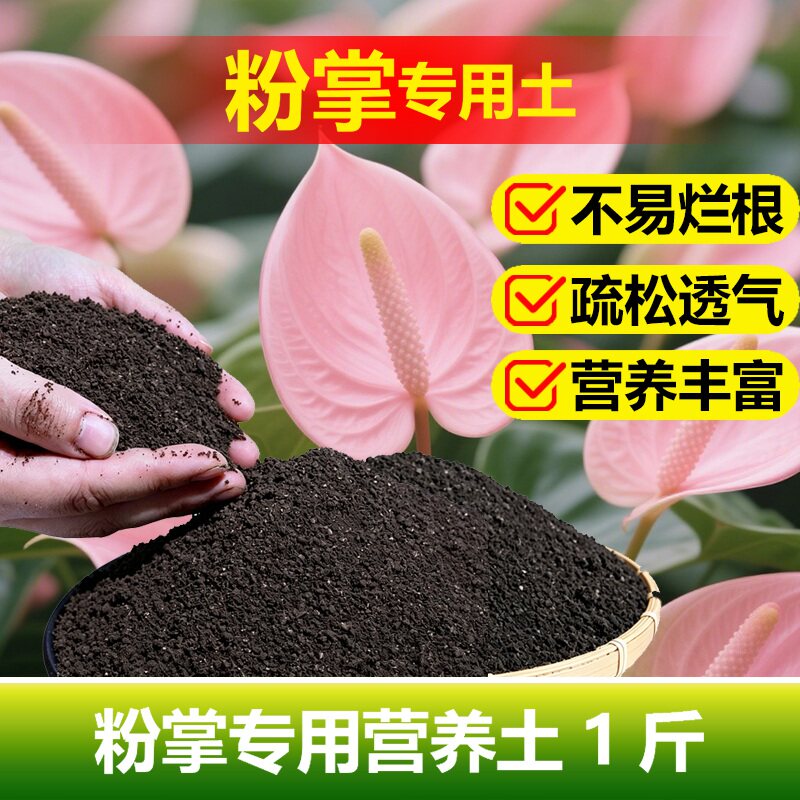 粉掌专用土料盆栽营养土水培土培叶子黄尖焦干枯锈斑卷曲下垂家用