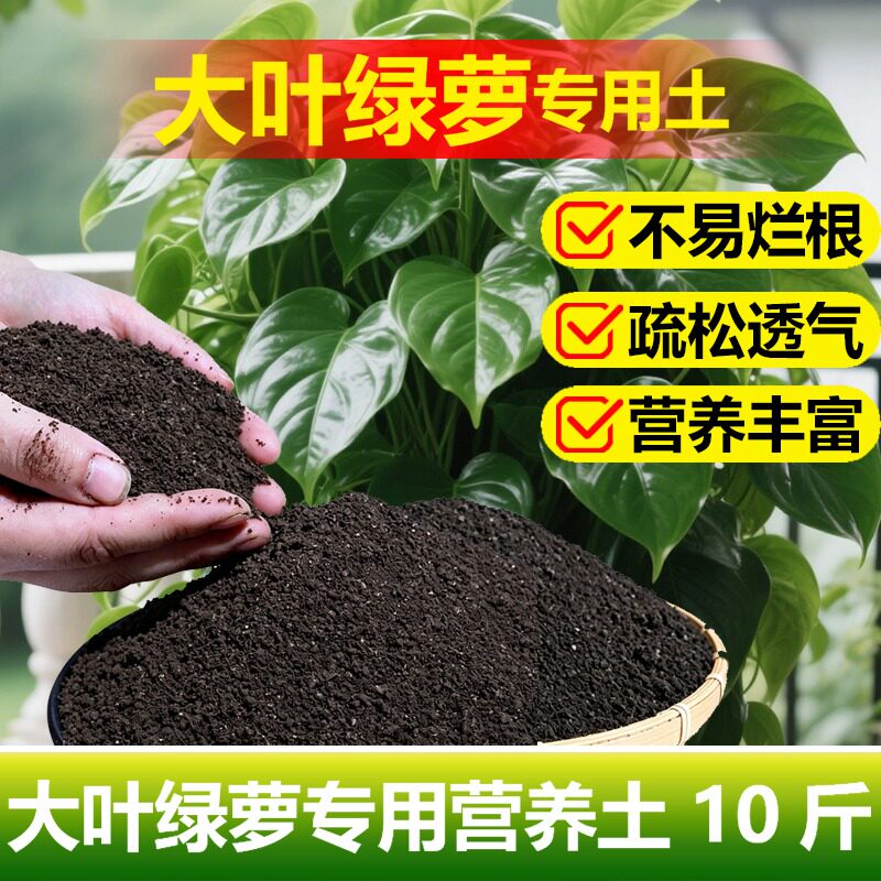 大叶绿萝柱专用土料盆栽绿植物营养土室内家用植物肥绿箩禄萝家用