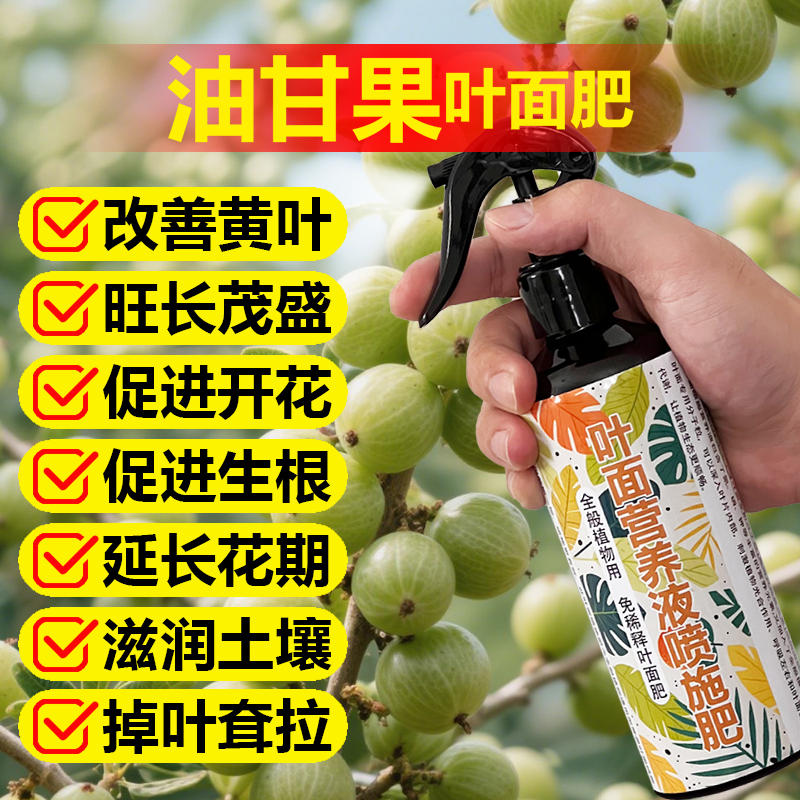 油甘果树专用肥料盆栽种植油甘树苗营养液叶面肥颗粒浓缩有机肥料