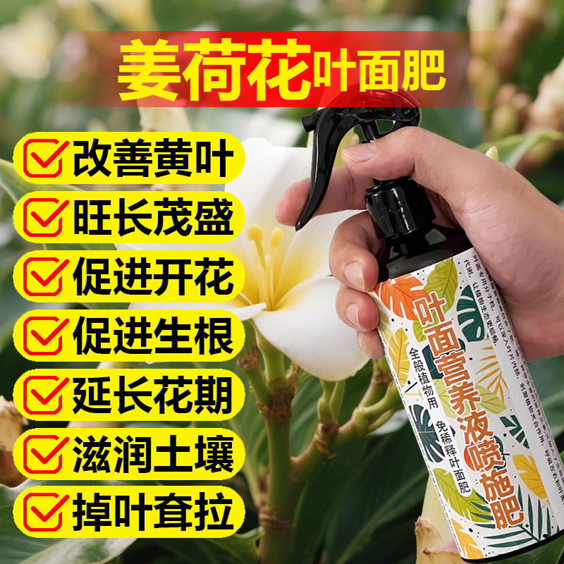 姜荷花专用肥料种球花肥种植营养液长花苞开花肥旺长新芽叶面肥料图片