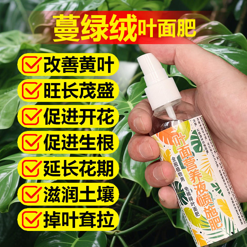 蔓绿绒专用肥料花盆营养液小苗旺长茂盛生根挺立出锦长新叶面肥料