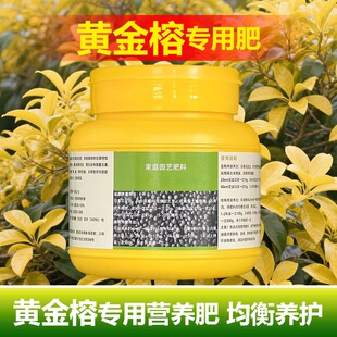 黄金榕专用肥料老桩盆栽绿植黄金榕树苗橡皮树营养液室内花卉肥料