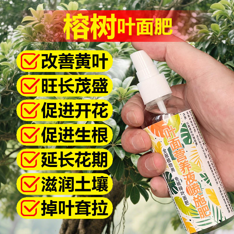 榕树专用肥料盆景大树苗土壤营养液叶面肥氮磷钾肥浓缩水溶化肥料
