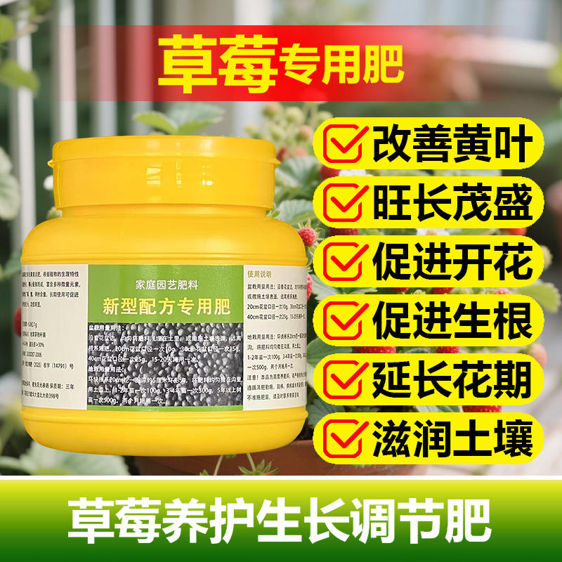 草莓专用肥料养殖小苗盆栽种植奶油草莓苗土壤养护营养液叶面肥料