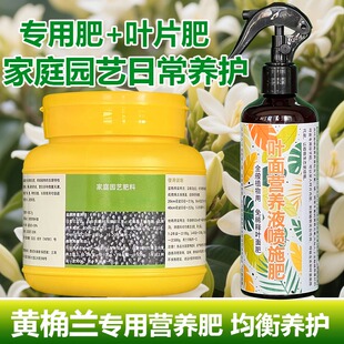 黄桷兰专用肥料大树苗白兰花肥黄桷兰花盆栽专用土营养液叶面肥料