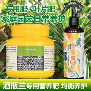 酒瓶兰专用肥料酒瓶吊兰绿植物营养液生根发根发芽长高长叶面肥料