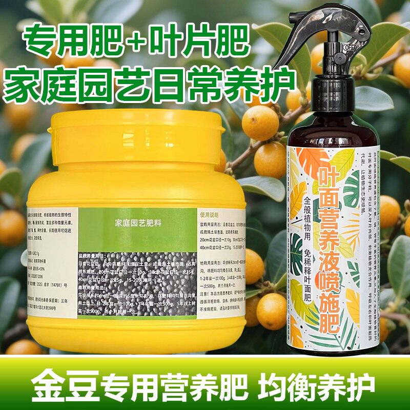 金豆专用肥料盆景下山树桩老桩小金豆豆盆栽营养液专用土叶面肥料