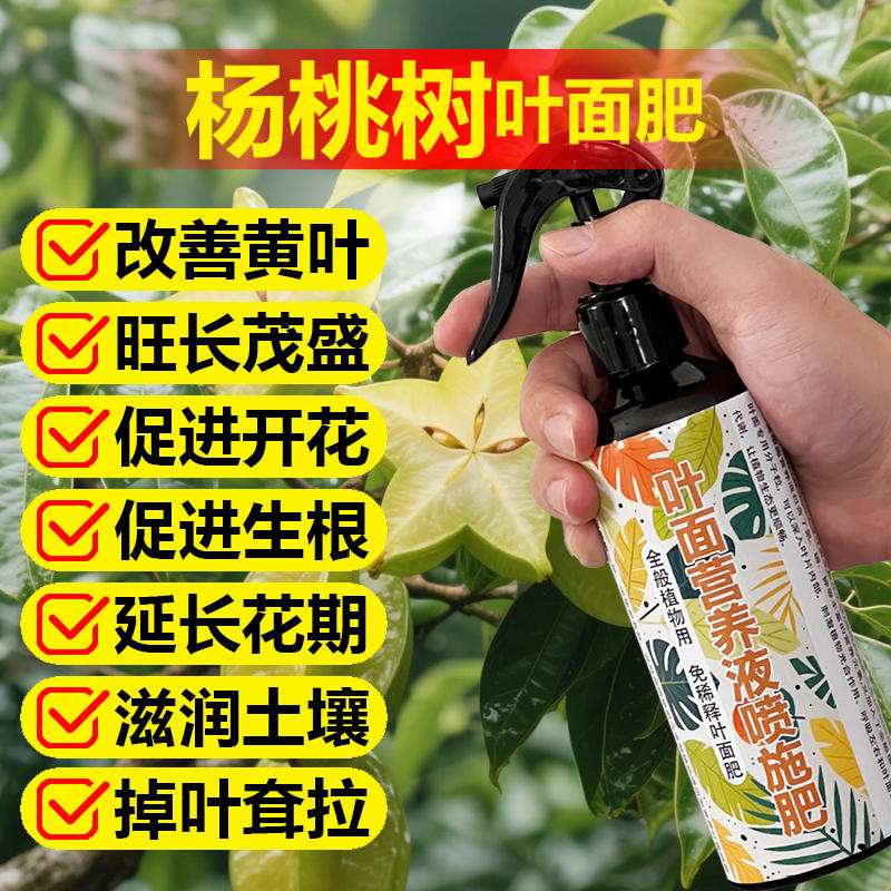 杨桃树专用肥料杨桃果树营养液开花保花保果结果挫果增产增收肥料