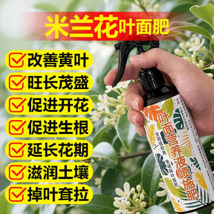 米兰花专用肥料养殖盆栽花苗盆景树苗专用土开花肥营养液叶面肥料