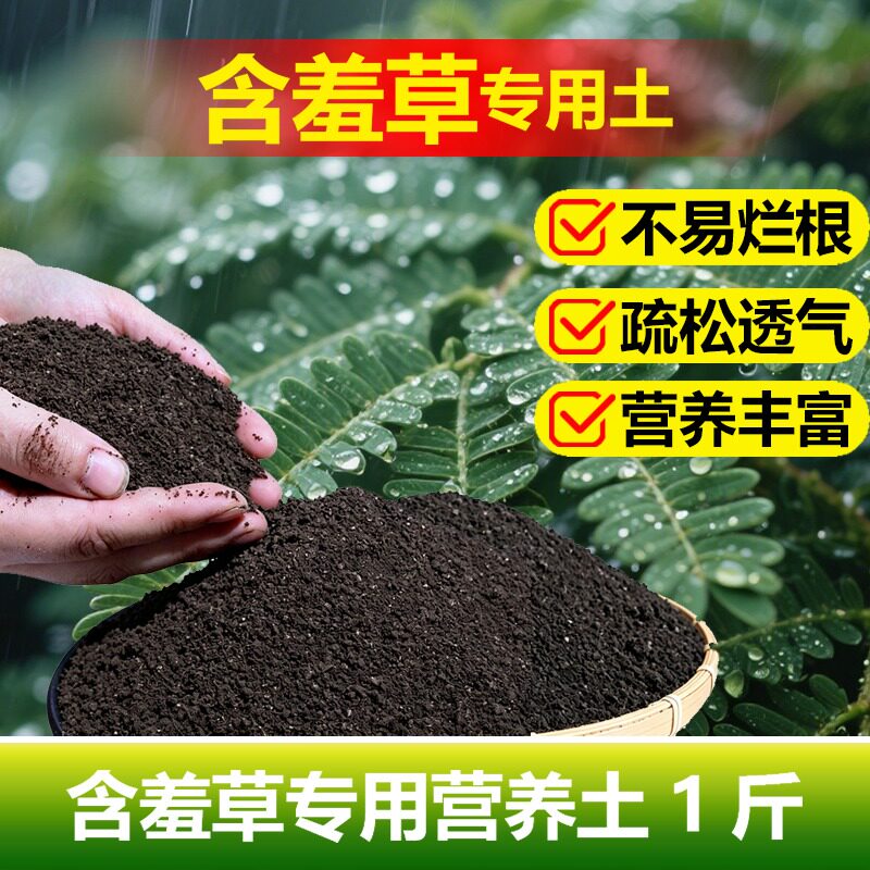 含羞草专用土料盆景盆栽水培土培营养土种植肥有机肥花卉土肥家用