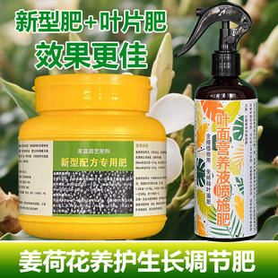 姜荷花专用肥料花盆栽种球开花肥专用土种植营养液喷剂叶面肥肥料