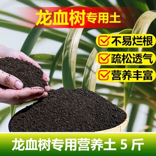 龙血树专用土料树苗营养土发软干瘪叶尖焦黄干枯黑斑种植家用