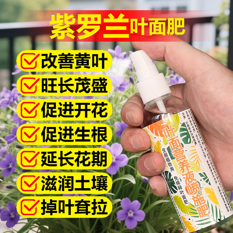 紫罗兰专用肥料养殖水培专用土培花苗种植紫罗兰花营养液叶面肥料
