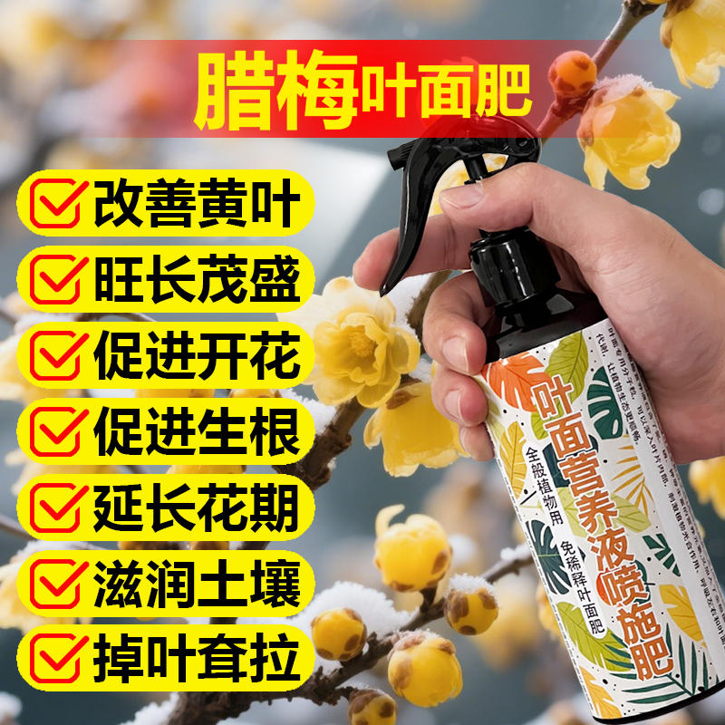 腊梅专用肥料土培水培盆栽腊梅花树苗营养液叶面肥复合水溶化肥料