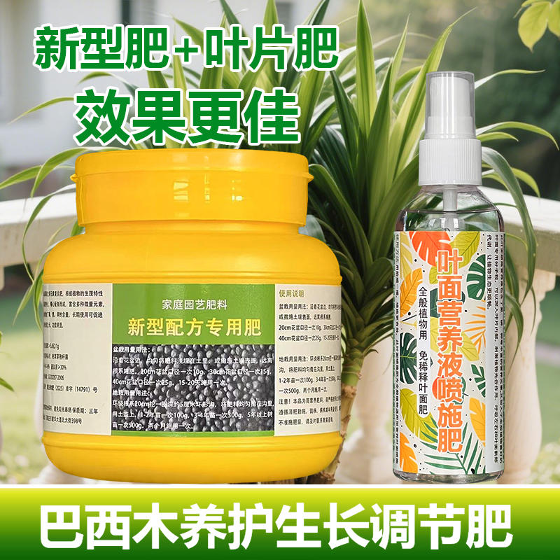 巴西木专用肥料土培水培老桩树苗土壤花肥营养液叶面肥巴旦木肥料