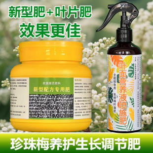 珍珠梅专用肥料花盆栽专用土营养液发黄掉落干枯发蔫黑斑叶面肥料
