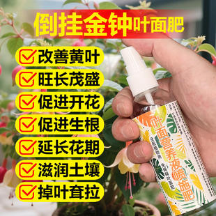 倒挂金钟专用肥料老桩盆栽倒挂金钟花肥营养液有机肥颗粒缓释肥料