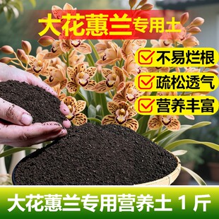 大花蕙兰专用土料盆栽兰花营养土叶子白点下垂发黄尖发黑花卉家用