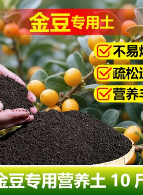 金豆专用土料养殖盆景下山树桩老桩小苗盆栽营养土专用土种植家用