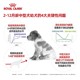 皇家狗粮幼犬中型犬大型犬幼年离乳期专用 皇家奶糕 幼犬粮德牧