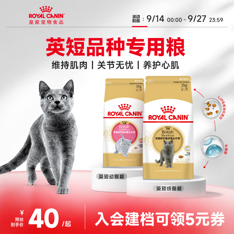 皇家猫粮英短成猫粮BS34蓝猫幼猫粮BSK38 猫咪专用银渐层猫主粮
