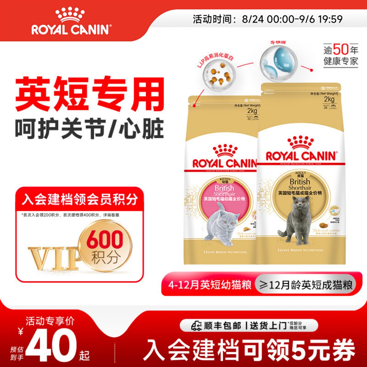 皇家猫粮幼猫成猫英短专用粮图片