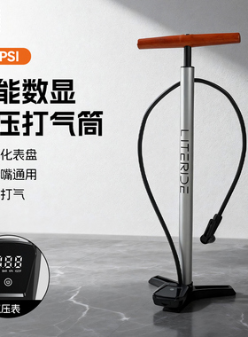 LITERIDE智能数显高压打气筒160PSI可视化表盘美法嘴通用