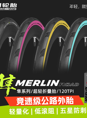 朝阳隼原眼镜蛇PRO公路车外胎70025c28防刺自行车胎H-496轮胎