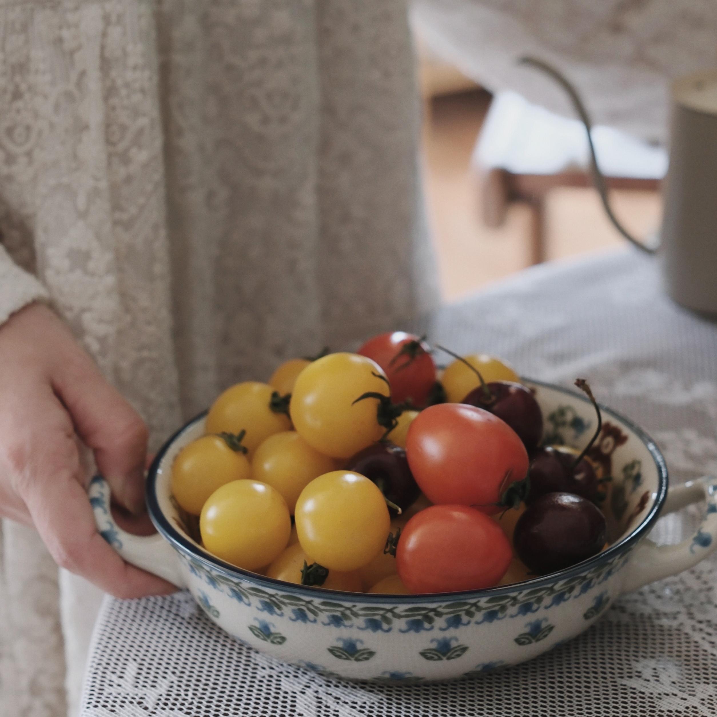 现货波兰手绘陶瓷小熊深盘波兰陶瓷风铃花小熊双耳碗甜品盘小食碟