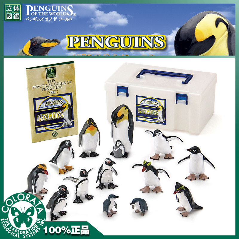 日本COLORATA蝴蝶社立体图鉴儿童认知海洋动物南极玩具970690企鹅