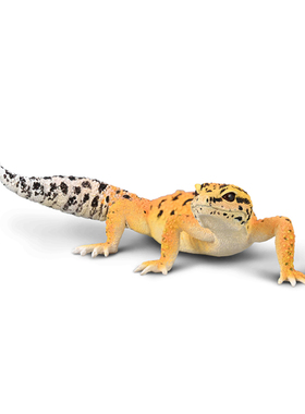 英国CollectA我你他野生动物爬宠蜥蜴守宫玩具80043豹纹壁虎2025