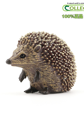 英国CollectA我你他原装正版仿真野生动物模型 88458刺猬