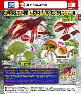 现货 TOMY多美 水边生物 仿真动物 龙虾巴西乌龟寄居蟹扭蛋摆件