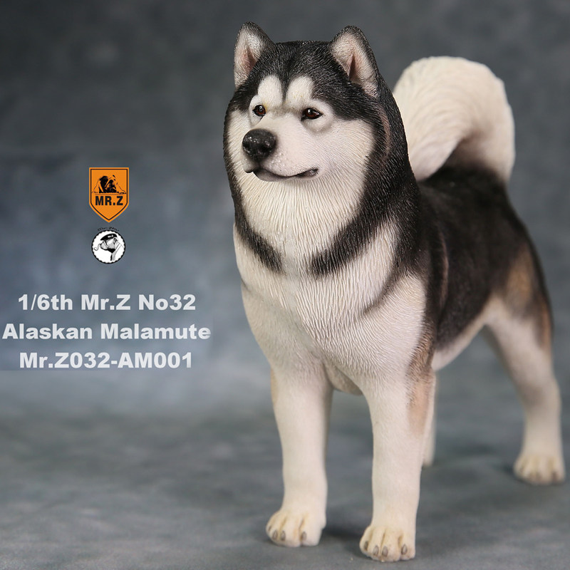 Mr.Z 1/6仿真宠物狗手办朱先生西伯利亚阿拉斯加雪橇犬模型摆件