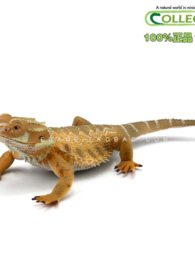 英国CollectA我你他仿真野生动物模型玩动物世界88567松狮蜥 蜥蜴