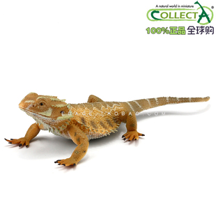 英国CollectA我你他仿真野生动物模型玩动物世界88567松狮蜥 蜥蜴