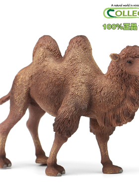 英国CollectA我你他原装正版仿真野生动物模型88807双峰骆驼