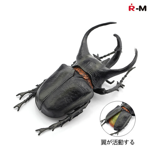 r-m礼品仿真动物模型南洋大兜