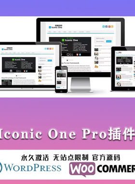 Iconic One Pro 汉化中文版 极速响应SEO优化新闻博客主题模板
