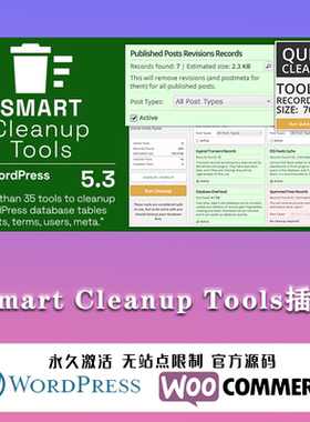 Smart Cleanup Tools汉化中文版数据库智能清理优化WordPress插件