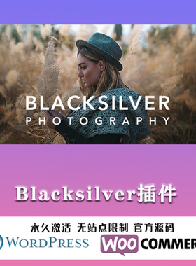 Blacksilver 汉化中文版 专业摄影照片展示博客WordPress主题