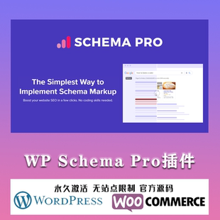 自动化摘要标记自定义SEO Pro汉化中文版 WordPress插件 Schema