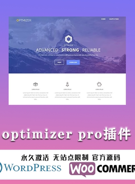 Optimizer PRO 汉化中文版 多功能响应式自定义WordPress主题模板